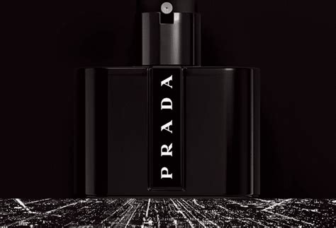 prada black scent chart|prada perfume scent.